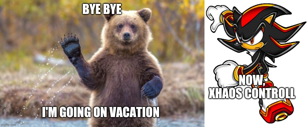 BYE BYE; NOW, CHAOS CONTROLL; I'M GOING ON VACATION | image tagged in bye bye bear,shadow the hedgehog | made w/ Imgflip meme maker