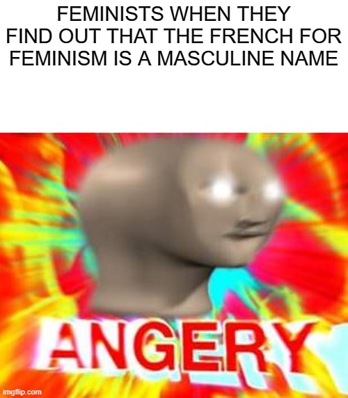Funny meme |  FEMINISTS WHEN THEY FIND OUT THAT THE FRENCH FOR FEMINISM IS A MASCULINE NAME | image tagged in surreal angery | made w/ Imgflip meme maker