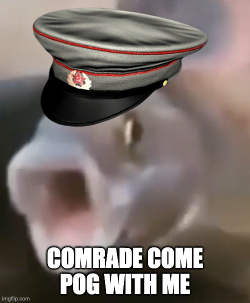 Comrade Pog | COMRADE COME POG WITH ME | image tagged in pog,soviet russia | made w/ Imgflip meme maker