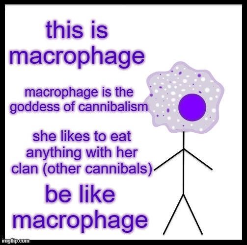 Be Like Macrophage | this is macrophage; macrophage is the goddess of cannibalism; she likes to eat anything with her clan (other cannibals); be like macrophage | image tagged in memes,be like bill | made w/ Imgflip meme maker
