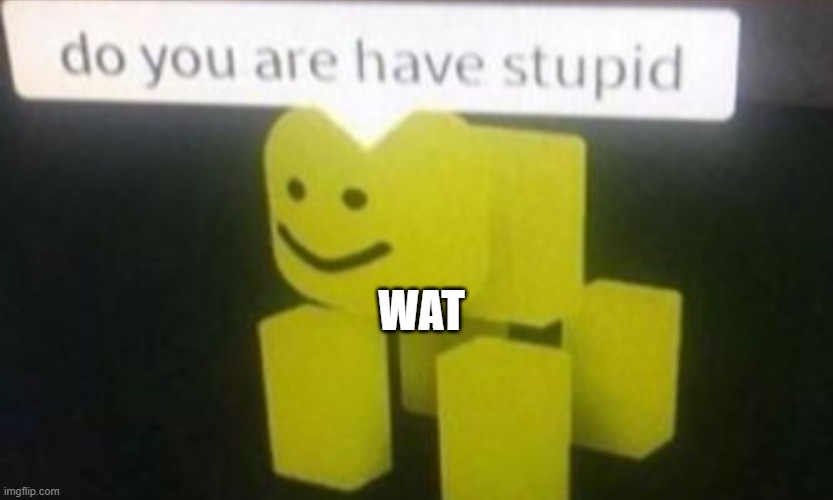 Stoopid | WAT | image tagged in stoopid | made w/ Imgflip meme maker