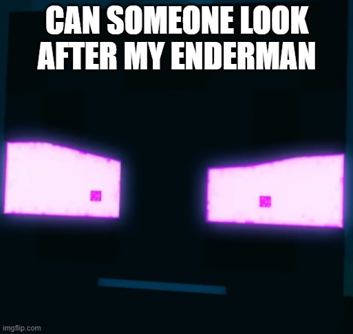 CAN SOMEONE LOOK AFTER MY ENDERMAN | made w/ Imgflip meme maker