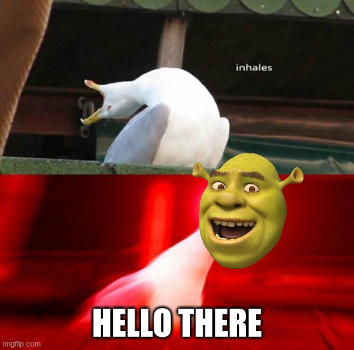 Inhaling Seagull  | HELLO THERE | image tagged in inhaling seagull | made w/ Imgflip meme maker