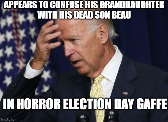 Appears to confuse his granddaughter with his dead son Beau; in horror election day gaffe | APPEARS TO CONFUSE HIS GRANDDAUGHTER
WITH HIS DEAD SON BEAU; IN HORROR ELECTION DAY GAFFE | image tagged in dummy joe | made w/ Imgflip meme maker