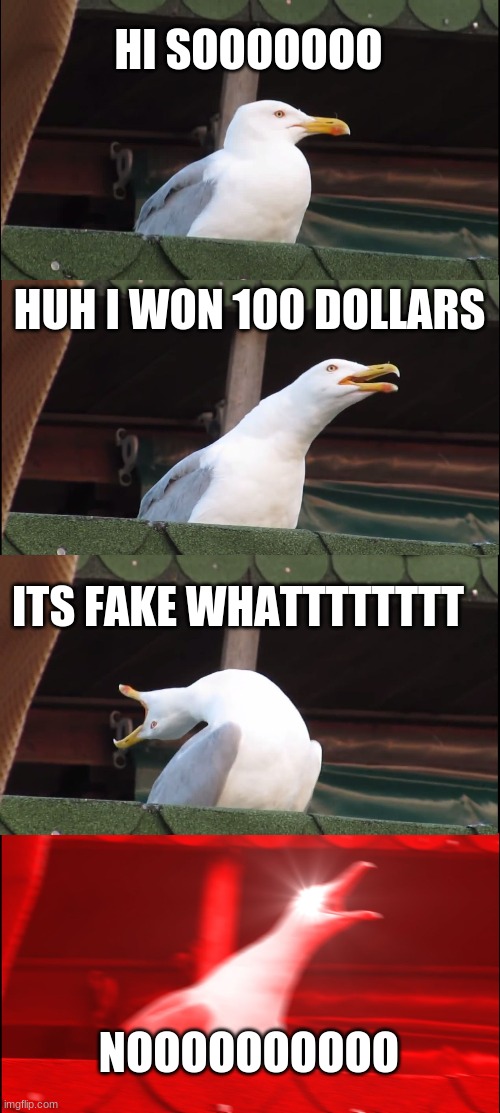 BARF123 | HI SOOOOOOO; HUH I WON 100 DOLLARS; ITS FAKE WHATTTTTTTT; NOOOOOOOOOO | image tagged in memes,inhaling seagull | made w/ Imgflip meme maker