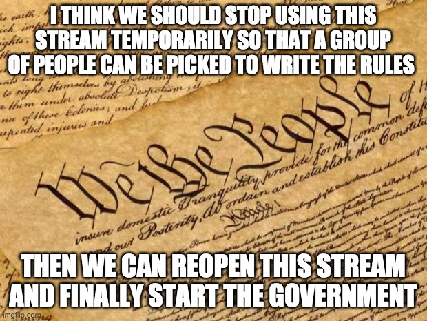 Constitution | I THINK WE SHOULD STOP USING THIS STREAM TEMPORARILY SO THAT A GROUP OF PEOPLE CAN BE PICKED TO WRITE THE RULES; THEN WE CAN REOPEN THIS STREAM AND FINALLY START THE GOVERNMENT | image tagged in constitution | made w/ Imgflip meme maker