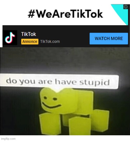 Don't install TikTok | image tagged in do u have are stupid | made w/ Imgflip meme maker
