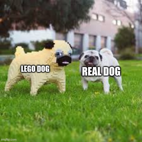 doggy | LEGO DOG; REAL DOG | image tagged in bad pun dog | made w/ Imgflip meme maker