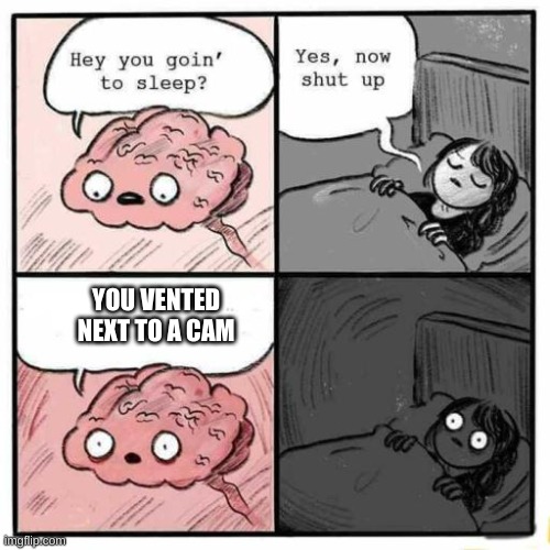 Hey you going to sleep? | YOU VENTED NEXT TO A CAM | image tagged in hey you going to sleep | made w/ Imgflip meme maker