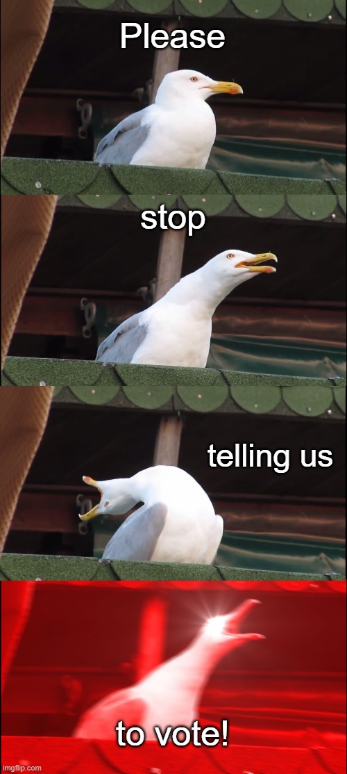 Inhaling Seagull | Please; stop; telling us; to vote! | image tagged in memes,inhaling seagull | made w/ Imgflip meme maker