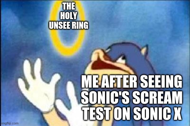 holy ring | THE HOLY UNSEE RING; ME AFTER SEEING SONIC'S SCREAM TEST ON SONIC X | image tagged in holy ring | made w/ Imgflip meme maker