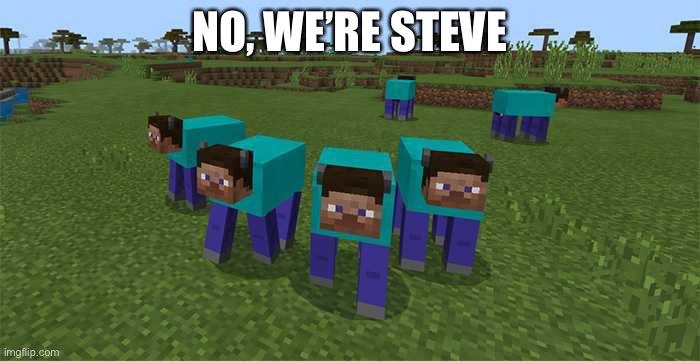 me and the boys | NO, WE’RE STEVE | image tagged in me and the boys | made w/ Imgflip meme maker