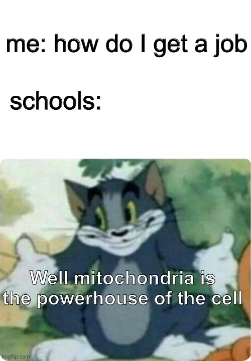 literally | schools:; me: how do I get a job; Well mitochondria is the powerhouse of the cell | image tagged in tom shrugging,memes,funny,tom,tom shrug | made w/ Imgflip meme maker