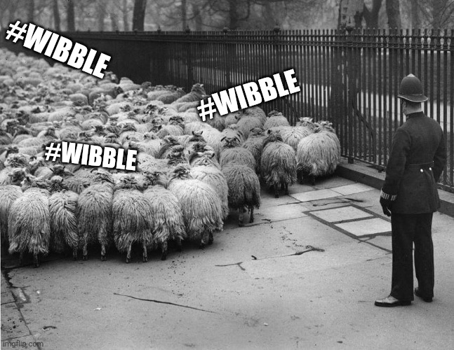 #Wibble |  #WIBBLE; #WIBBLE; #WIBBLE | image tagged in memes,covid,hashtag,funny | made w/ Imgflip meme maker