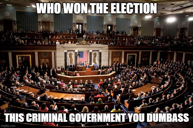 Who Won The Election | WHO WON THE ELECTION; THIS CRIMINAL GOVERNMENT YOU DUMBASS | image tagged in criminals,stupid criminals | made w/ Imgflip meme maker