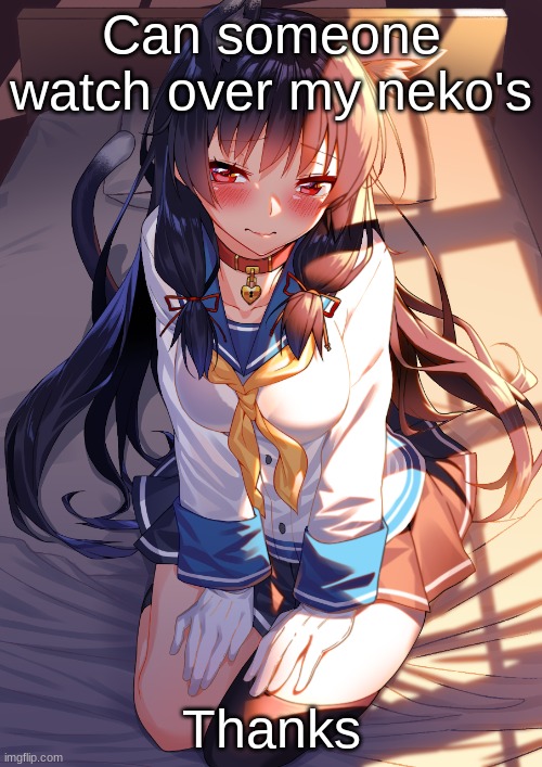 Can someone watch over my neko's; Thanks | made w/ Imgflip meme maker