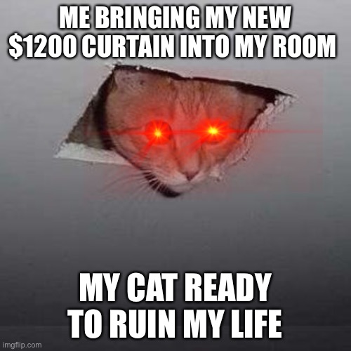 Ceiling Cat Meme | ME BRINGING MY NEW $1200 CURTAIN INTO MY ROOM; MY CAT READY TO RUIN MY LIFE | image tagged in memes,ceiling cat | made w/ Imgflip meme maker