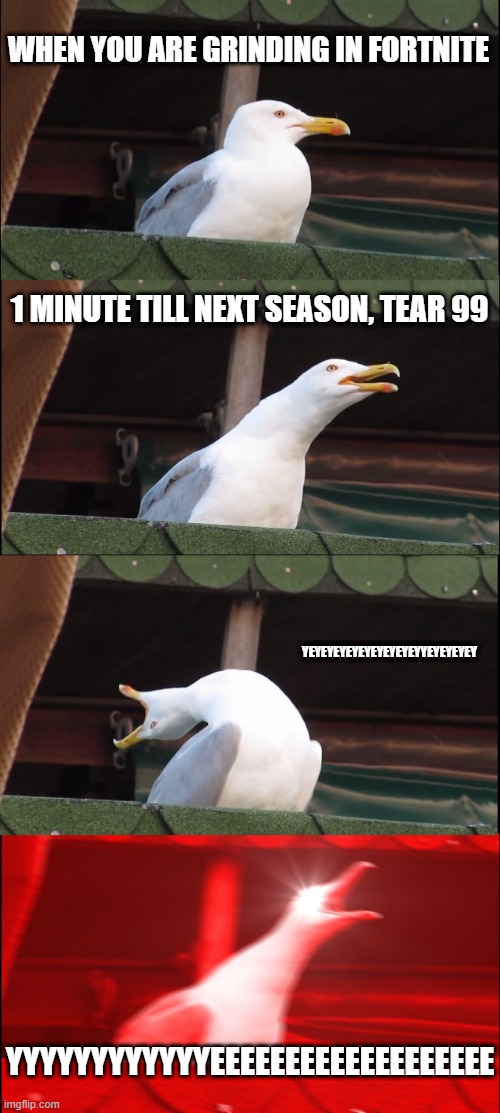 Inhaling Seagull | WHEN YOU ARE GRINDING IN FORTNITE; 1 MINUTE TILL NEXT SEASON, TEAR 99; YEYEYEYEYEYEYEYEYEYYEYEYEYEY; YYYYYYYYYYYYEEEEEEEEEEEEEEEEEEE | image tagged in memes,inhaling seagull | made w/ Imgflip meme maker