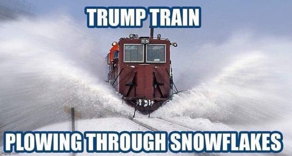 Trump Train | image tagged in trump train meme,plowinh through snpwflakes | made w/ Imgflip meme maker