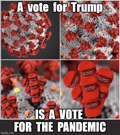 Trump/Covid 2020! | A  vote  for  Trump; IS  A  VOTE  FOR  THE  PANDEMIC | image tagged in donald trump,trump supporters,trump 2020,trump,donald trump approves,covid-19 | made w/ Imgflip meme maker