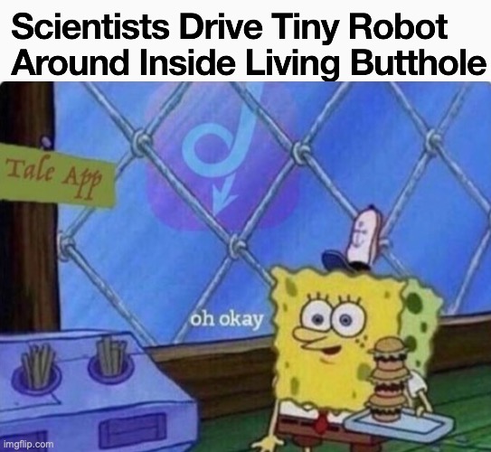 Oh okay | image tagged in butthole,oh okay spongebob | made w/ Imgflip meme maker