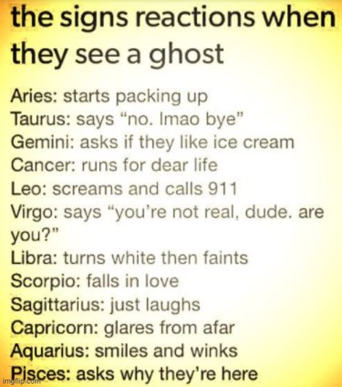 The signs reactions when they see a ghost | image tagged in zodiac,zodiac signs,ghost,ghosts,zodiac sign,zodiac ghost | made w/ Imgflip meme maker
