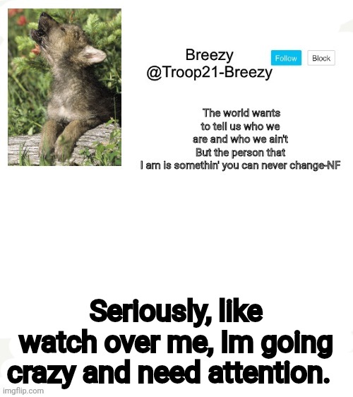 Lately I need attention. I might have ADHD. Like my entire side of my dads family. | Seriously, like watch over me, Im going crazy and need attention. | made w/ Imgflip meme maker