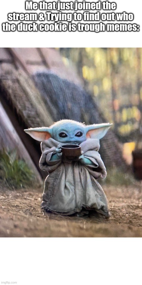 BABY YODA TEA |  Me that just joined the stream & Trying to find out who the duck cookie is trough memes: | image tagged in baby yoda tea | made w/ Imgflip meme maker