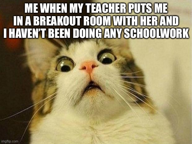 Scared Cat | ME WHEN MY TEACHER PUTS ME IN A BREAKOUT ROOM WITH HER AND I HAVEN’T BEEN DOING ANY SCHOOLWORK | image tagged in memes,scared cat | made w/ Imgflip meme maker