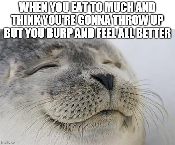 Satisfied Seal Meme | WHEN YOU EAT TO MUCH AND THINK YOU'RE GONNA THROW UP BUT YOU BURP AND FEEL ALL BETTER | image tagged in memes,satisfied seal | made w/ Imgflip meme maker
