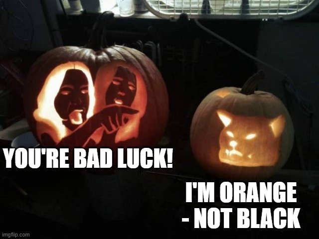 Woman yelling at cat pumpkin | YOU'RE BAD LUCK! I'M ORANGE - NOT BLACK | image tagged in woman yelling at cat | made w/ Imgflip meme maker