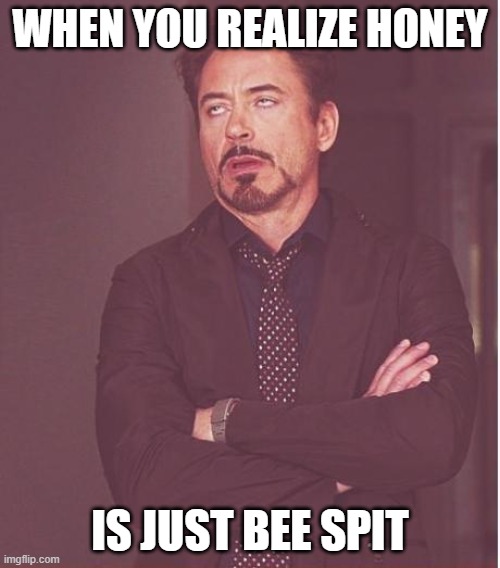 Grossed out | WHEN YOU REALIZE HONEY; IS JUST BEE SPIT | image tagged in memes,face you make robert downey jr | made w/ Imgflip meme maker