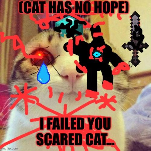 Smiling Cat | (CAT HAS NO HOPE); I FAILED YOU SCARED CAT... | image tagged in memes,smiling cat | made w/ Imgflip meme maker