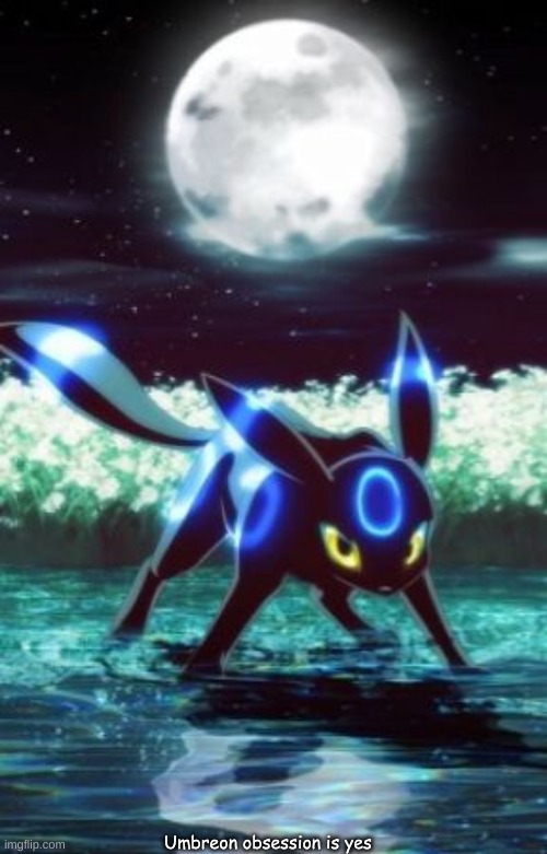 I like Umbreon a bit TOO much | Umbreon obsession is yes | made w/ Imgflip meme maker