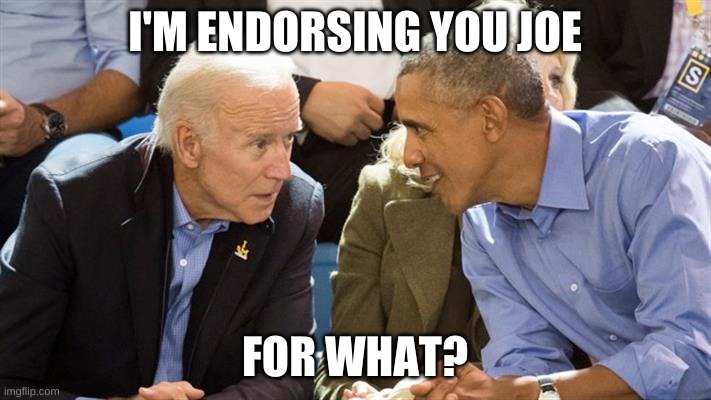 obama endorses biden | I'M ENDORSING YOU JOE; FOR WHAT? | image tagged in obama endorses biden | made w/ Imgflip meme maker