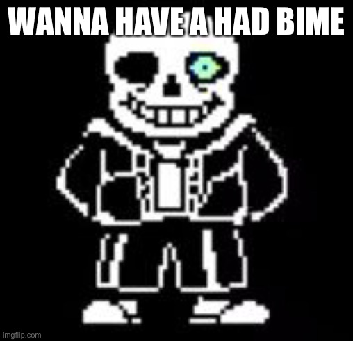 Sans Bad Time | WANNA HAVE A HAD BIME | image tagged in sans bad time | made w/ Imgflip meme maker