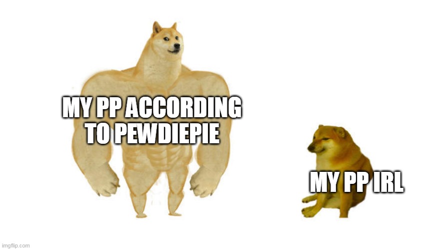 big small doge | MY PP ACCORDING TO PEWDIEPIE; MY PP IRL | image tagged in big small doge | made w/ Imgflip meme maker