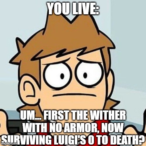 Eddsworld | YOU LIVE: UM... FIRST THE WITHER WITH NO ARMOR, NOW SURVIVING LUIGI'S 0 TO DEATH? | image tagged in eddsworld | made w/ Imgflip meme maker