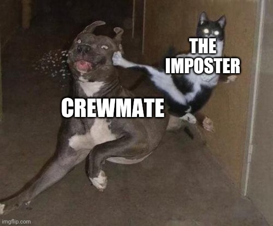 Every single time | THE IMPOSTER; CREWMATE | image tagged in catninja | made w/ Imgflip meme maker
