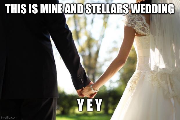 DON’T COMMENT TILL 9:30am eastern time |  THIS IS MINE AND STELLARS WEDDING; Y E Y | image tagged in wedding,memes,y e y,happi | made w/ Imgflip meme maker