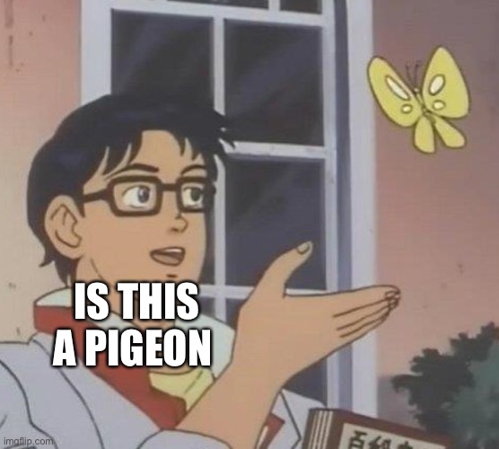 Is This A Pigeon Meme | IS THIS A PIGEON | image tagged in memes,is this a pigeon | made w/ Imgflip meme maker