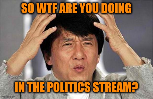 Epic Jackie Chan HQ | SO WTF ARE YOU DOING IN THE POLITICS STREAM? | image tagged in epic jackie chan hq | made w/ Imgflip meme maker