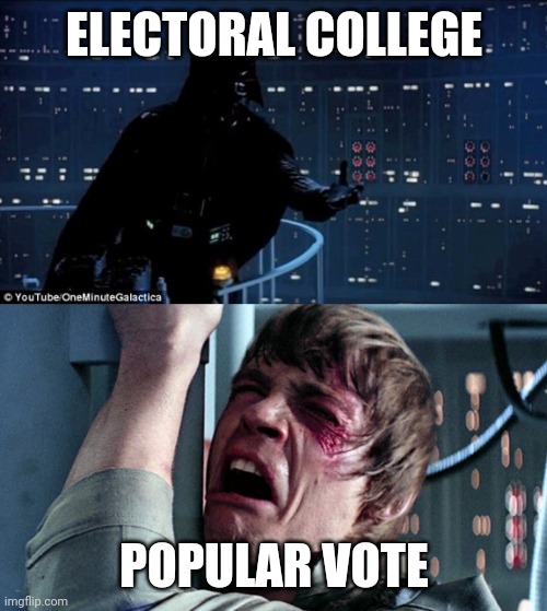 What really determines presidential results... | ELECTORAL COLLEGE; POPULAR VOTE | image tagged in darth vader luke skywalker,electoral college,starwars,election2020 | made w/ Imgflip meme maker