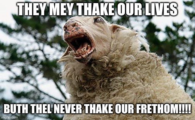 Mad Sheep | THEY MEY THAKE OUR LIVES; BUTH THEL NEVER THAKE OUR FRETHOM!!!! | image tagged in mad sheep,swedish memes | made w/ Imgflip meme maker