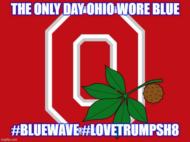 Ohio State flag | THE ONLY DAY OHIO WORE BLUE; #BLUEWAVE #LOVETRUMPSH8 | image tagged in ohio state flag | made w/ Imgflip meme maker