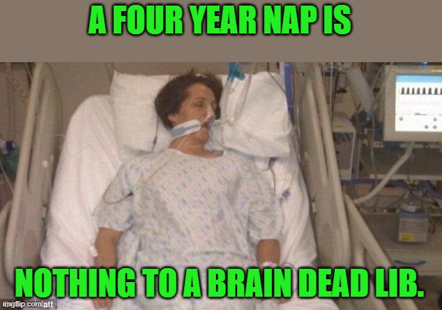 LIfe Support | A FOUR YEAR NAP IS NOTHING TO A BRAIN DEAD LIB. | image tagged in life support | made w/ Imgflip meme maker