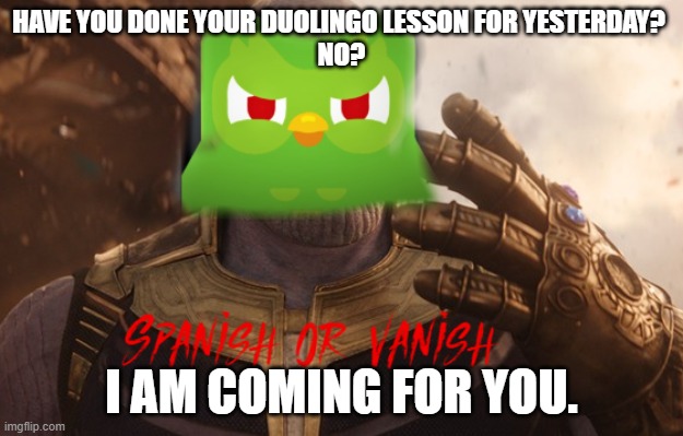 SPANISH OR VANISH | HAVE YOU DONE YOUR DUOLINGO LESSON FOR YESTERDAY? 
NO? I AM COMING FOR YOU. | image tagged in spanish or vanish | made w/ Imgflip meme maker