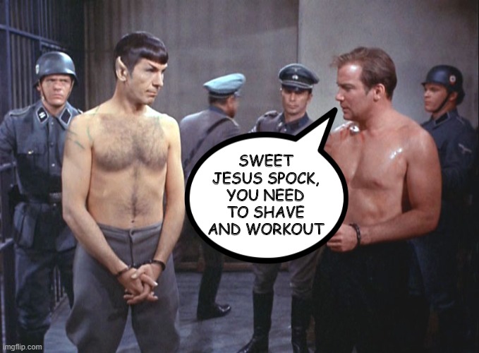 Get Buff | SWEET JESUS SPOCK, YOU NEED TO SHAVE AND WORKOUT | image tagged in star trek | made w/ Imgflip meme maker