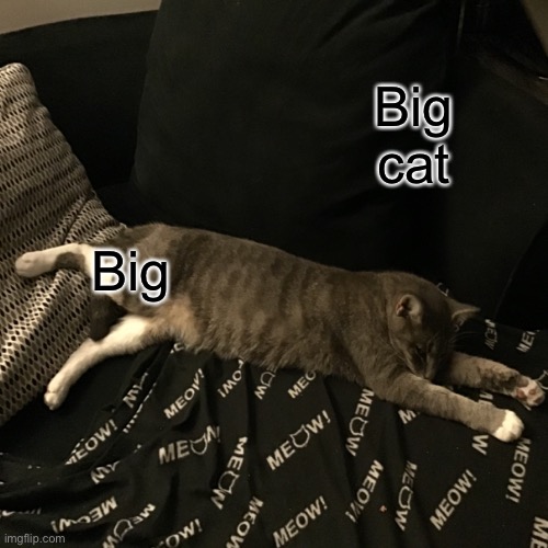 Cat stretch | Big cat; Big | image tagged in cat | made w/ Imgflip meme maker