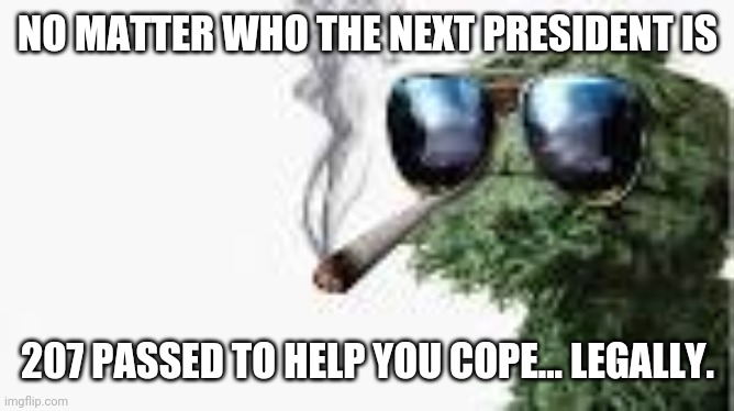 Oscar the Crouch marijuana | NO MATTER WHO THE NEXT PRESIDENT IS; 207 PASSED TO HELP YOU COPE... LEGALLY. | image tagged in oscar the crouch marijuana | made w/ Imgflip meme maker